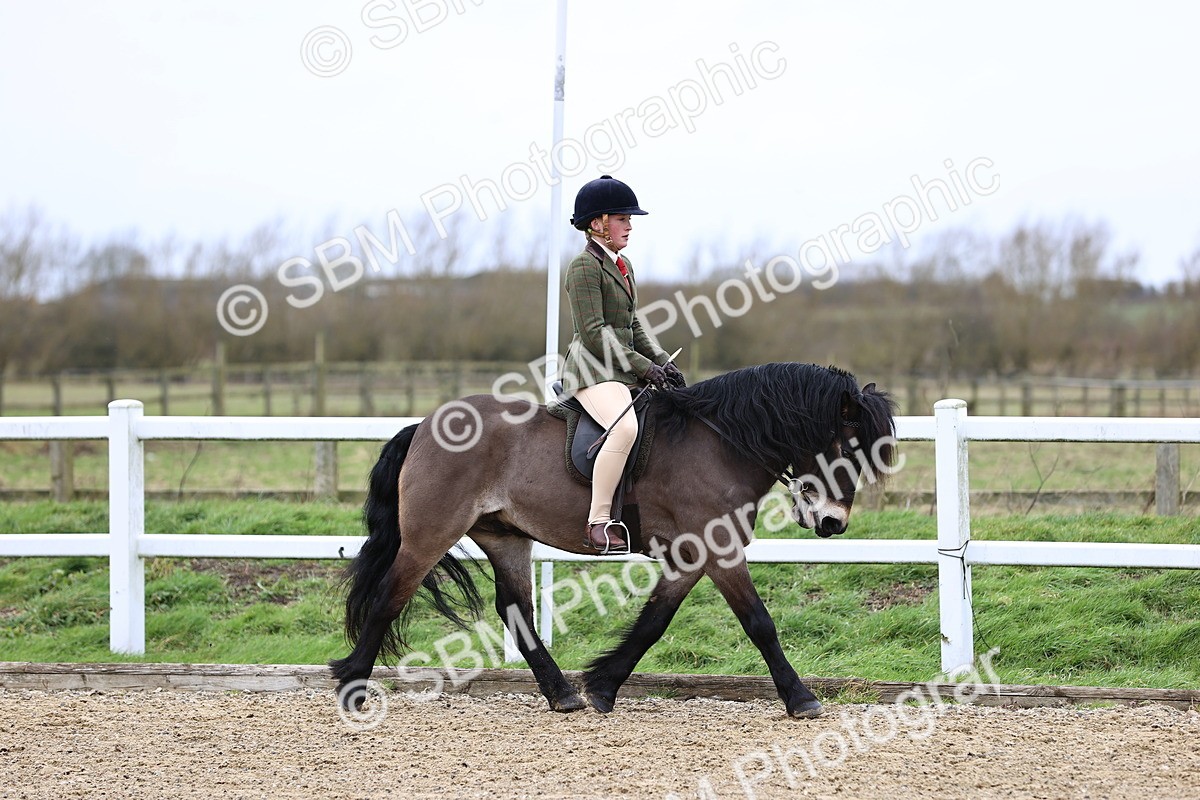 SBM_006744 - Class 29 - 30 - M&M Pure Novice Small-Large Breeds