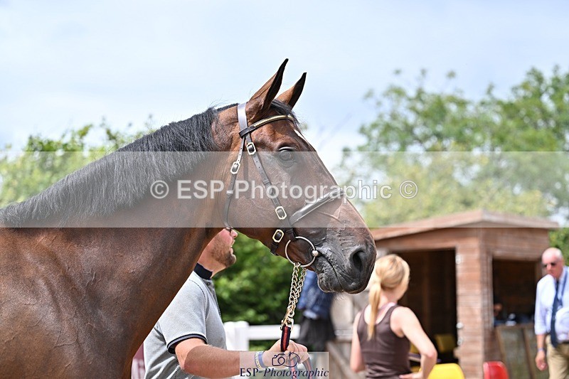 250716-132704-00523 - Trot Up 12.30 to 1.30