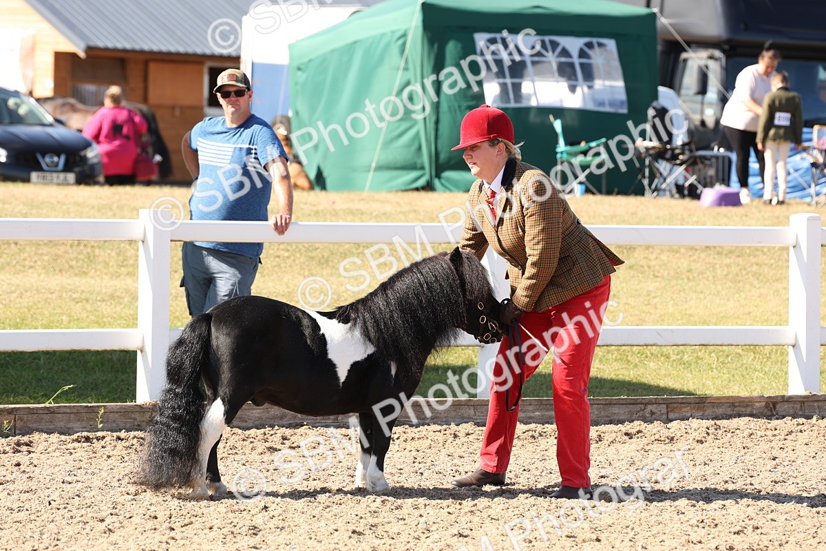 SBM_13876 - Class 205 - IH Show Pony - Show Hunter Pony