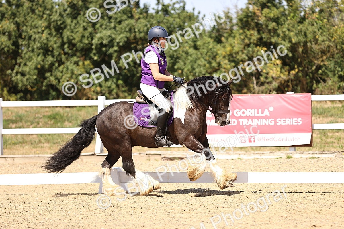 SBM_012321_Novice 5 - 1305-1436 - Joanne