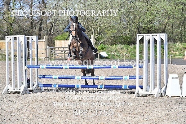BPP_3750 - CLASS 3 FRI Senior British Novice/ 90cm Open