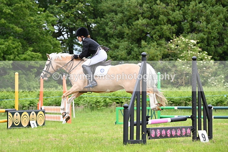 WJ6_5676 - Class 5 pairs 70cm