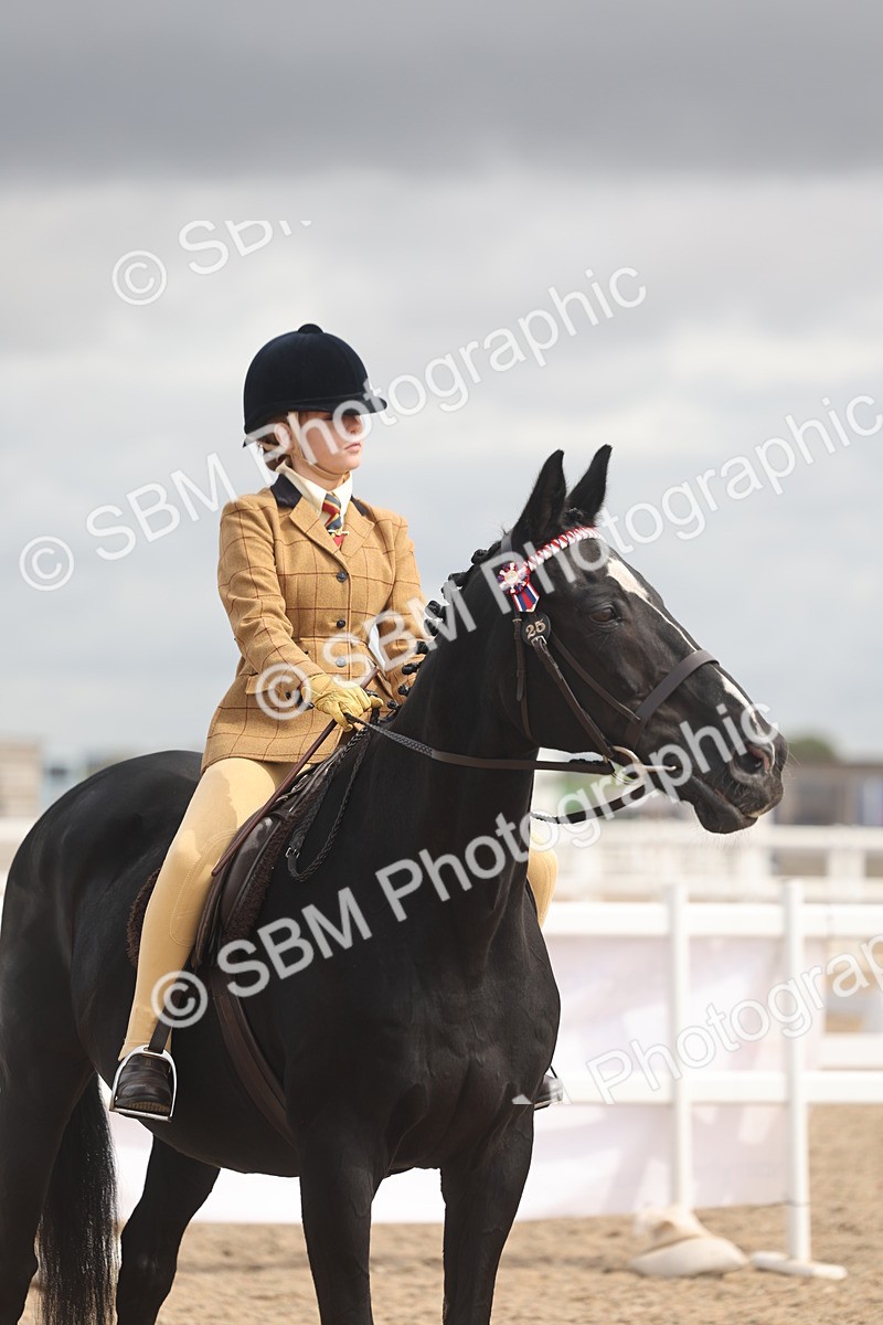 SBM_04416 - Class 18 - Handsomest Gelding (IH or Ridden)