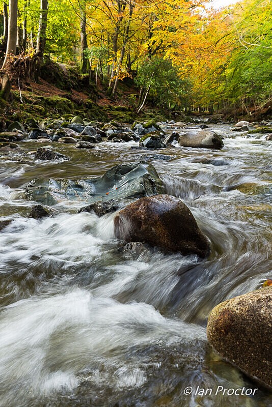 Tollymore Forest 2020 - The Shimna River - Autumn