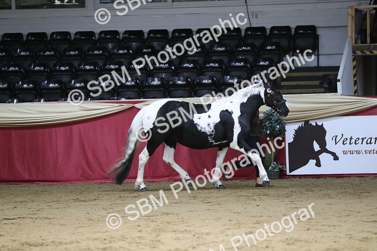 SBM_06311 - Class 9R Regional- IH Pre Vet