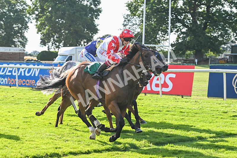 020825-Race 8-Dandy Dinmont-3911 - Race 8