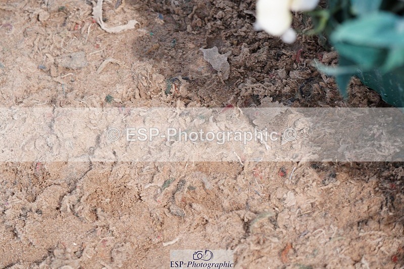 250511-142604-14272 - Cls 34 1.05m Amateur Quali