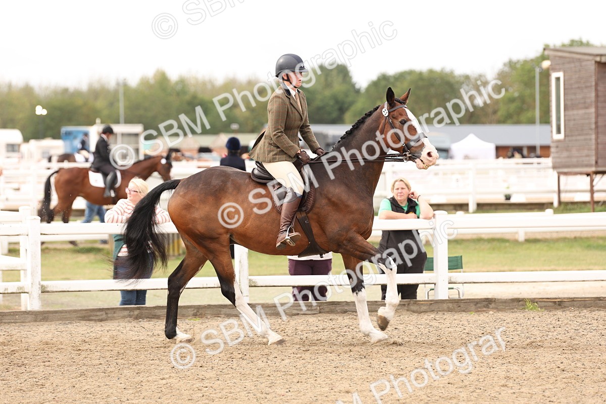 SBM_02821 - Class 53 - Ridden Competition Horse/Pony
