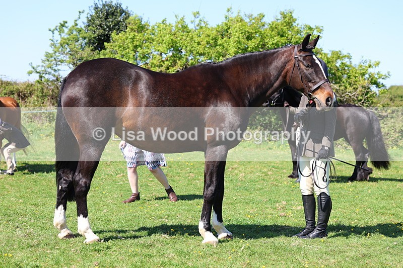 3E7A9837 - Class 17: Young Handler