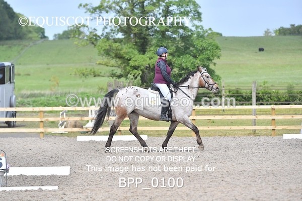 BPP_0100 - SHORT ARENA  MY QUEST PRELIM