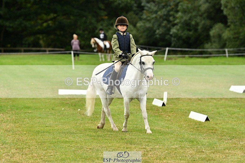 250820A-113913-05181 - 11am to 12