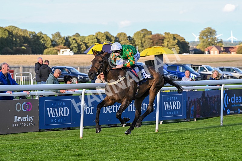 170925-Race 7-Sonic Pioneer-6209 - Race 7