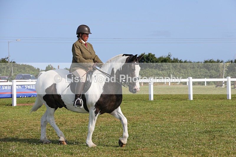 1X9A3328 - Class 28: Ridden Native/Trad Coloured Pony