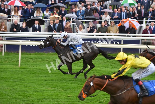yr21082021r5-8 - Race 5 4.10pm Julia Graves Roses Stakes