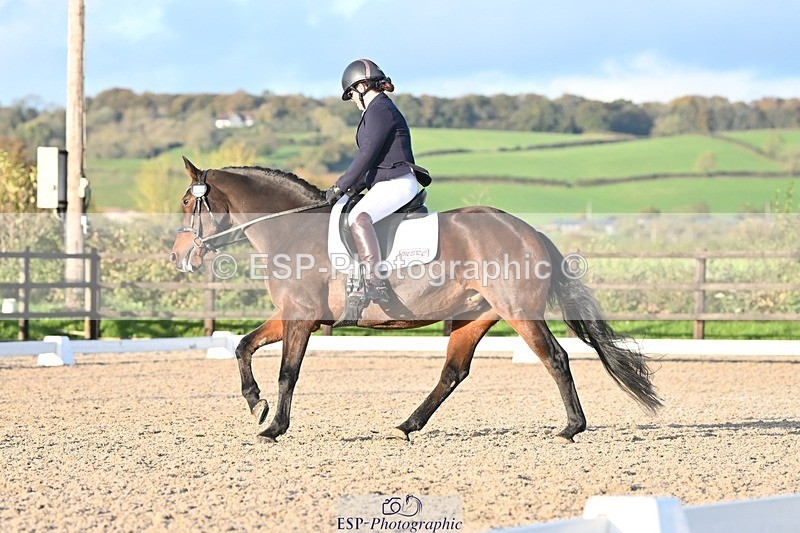 231105-151334-03031 - Cls 4 Novice 24 15.24 to 16.35 break