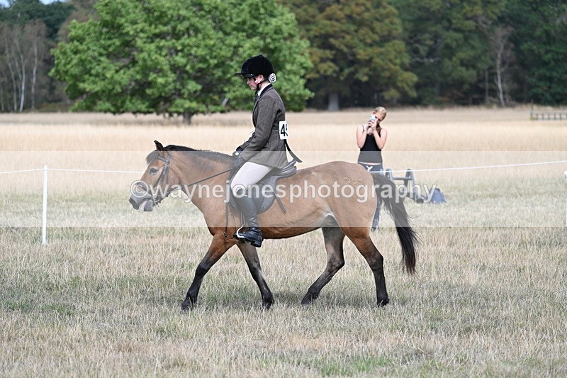 WJ7_5800 - Class 13 Ridden Veterans