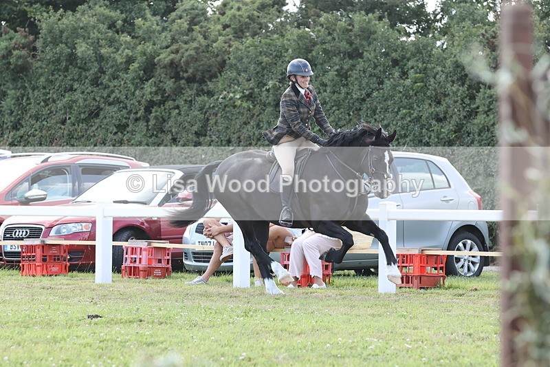 JPP_2360 - Class 19: Working Hunter 60cm