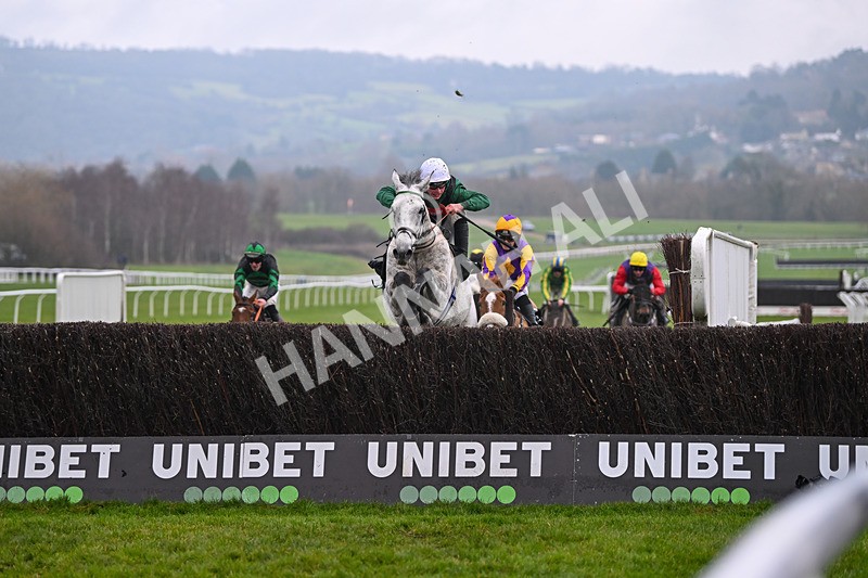 131224-Race 5-Numitor-9390 - Race 5