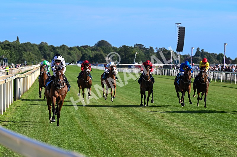 240726-Race 3-Coral Cove-5218 - Race 3 18.40pm Ire-Incentive, It Pays To Buy Irish EBF Restricted Novice