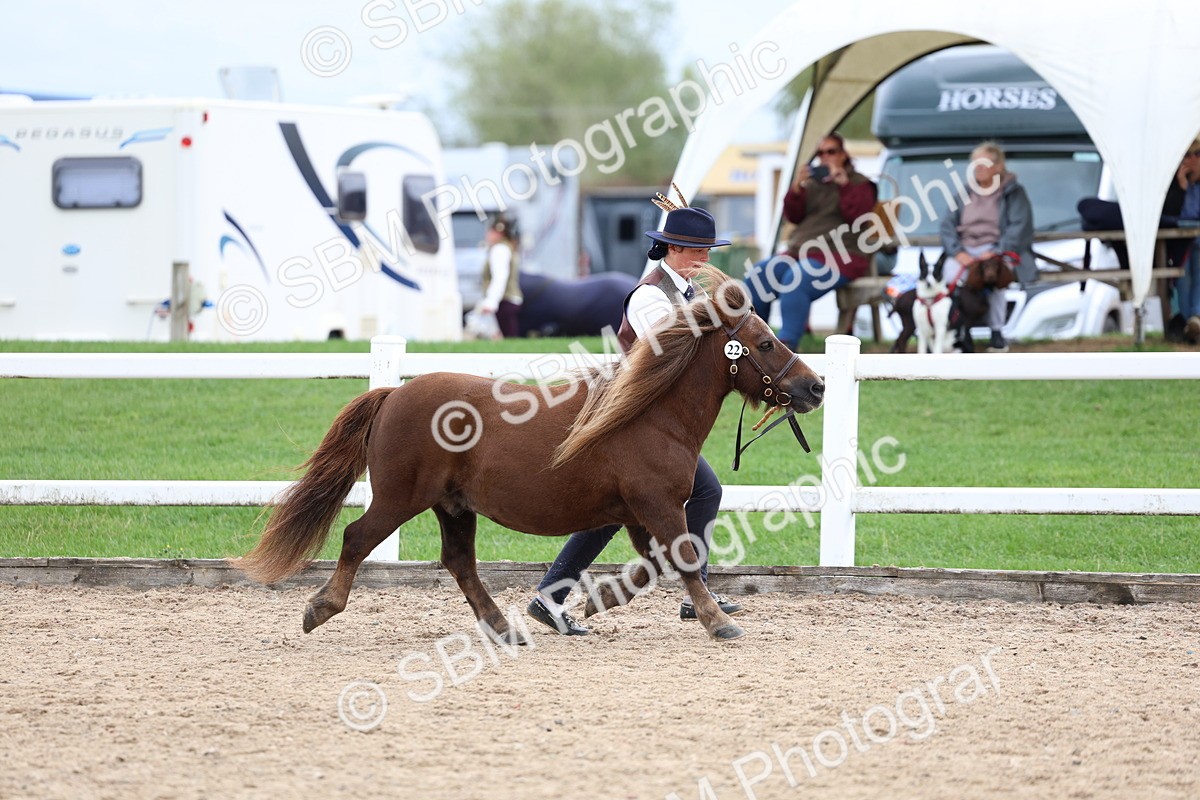 SBM_05868 - Class 29 - IH Veteran Pony