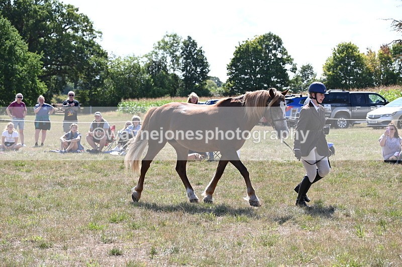 WJ6_4978 - Class 17 Mountain & Moorland