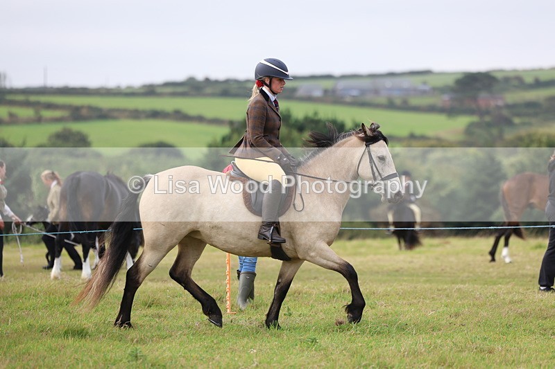 3E7A3934 - Class 4: Best Combination Open