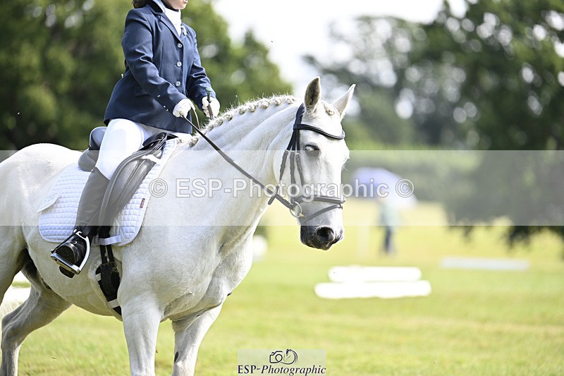 240824X-113509-25938 - D80 Section E and F 11.00 to 12.00