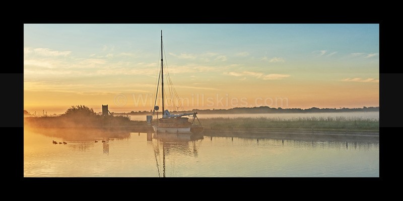 Mist and Gold - Land