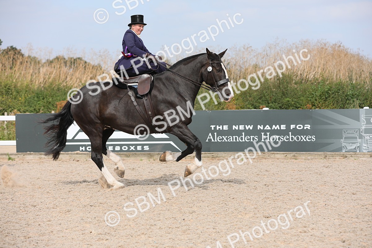 SBM_14658 - Class 211 Best Side Saddle Horse/Pony