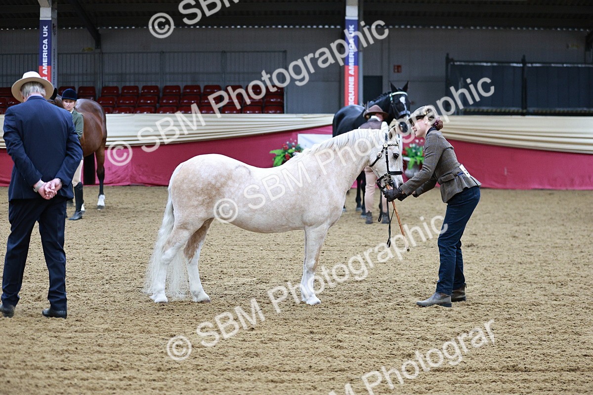 SBM_00209 - Class 1A - Area IH Diamond