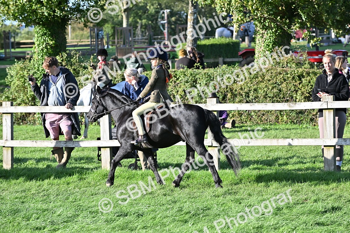 SBM_53007 - S23 - First Ridden Mountain & Moorland Pony