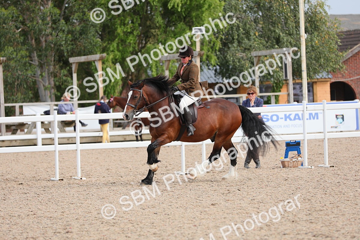 SBM_17754 - Class 315 Best Horse/Rider Combination