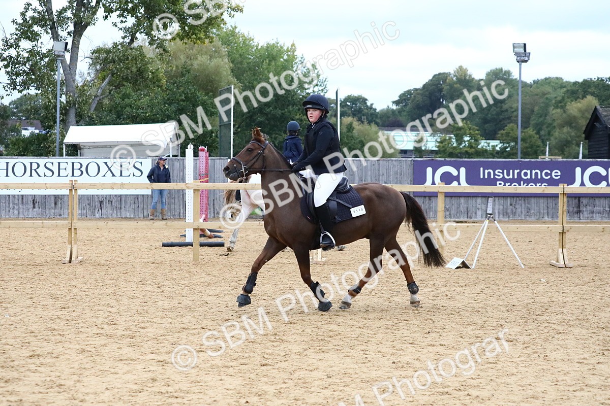 SBM_68328 - J3b - Mini Tour Junior Pony 40cm Championship