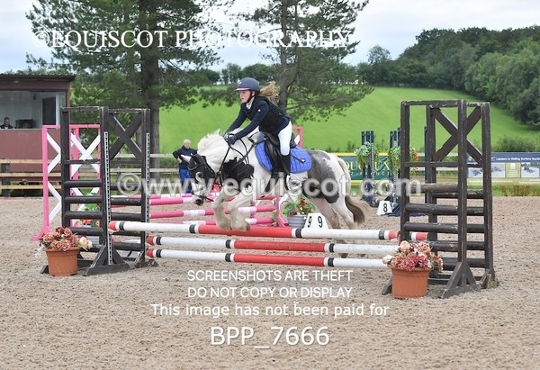 BPP_7666 - CLASS 1 Unaffiliated 60cms Open