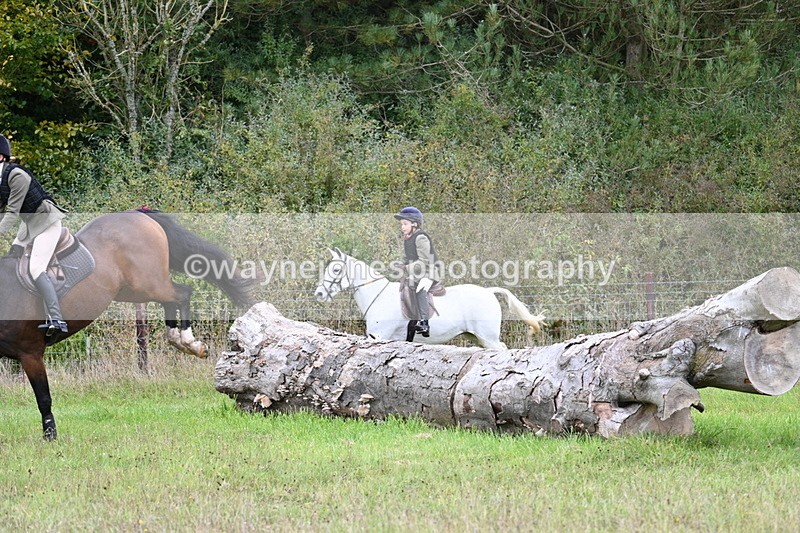 WJ7_3675 - Camera 1 Line 1