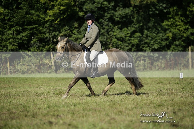BVRC 120921 158 - Bourne Valley Riding Club UA Dressage & Show Jumping 12/09/21