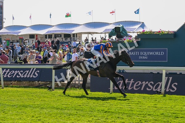140525-Race 4-Whirl-2442 - Race 4 3.45pm Tattersalls Musidora Stakes