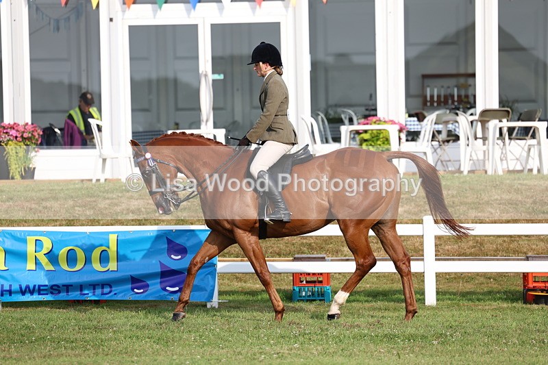 3E7A7816 - Class 1: Rising Star Small Hack/Riding Horses