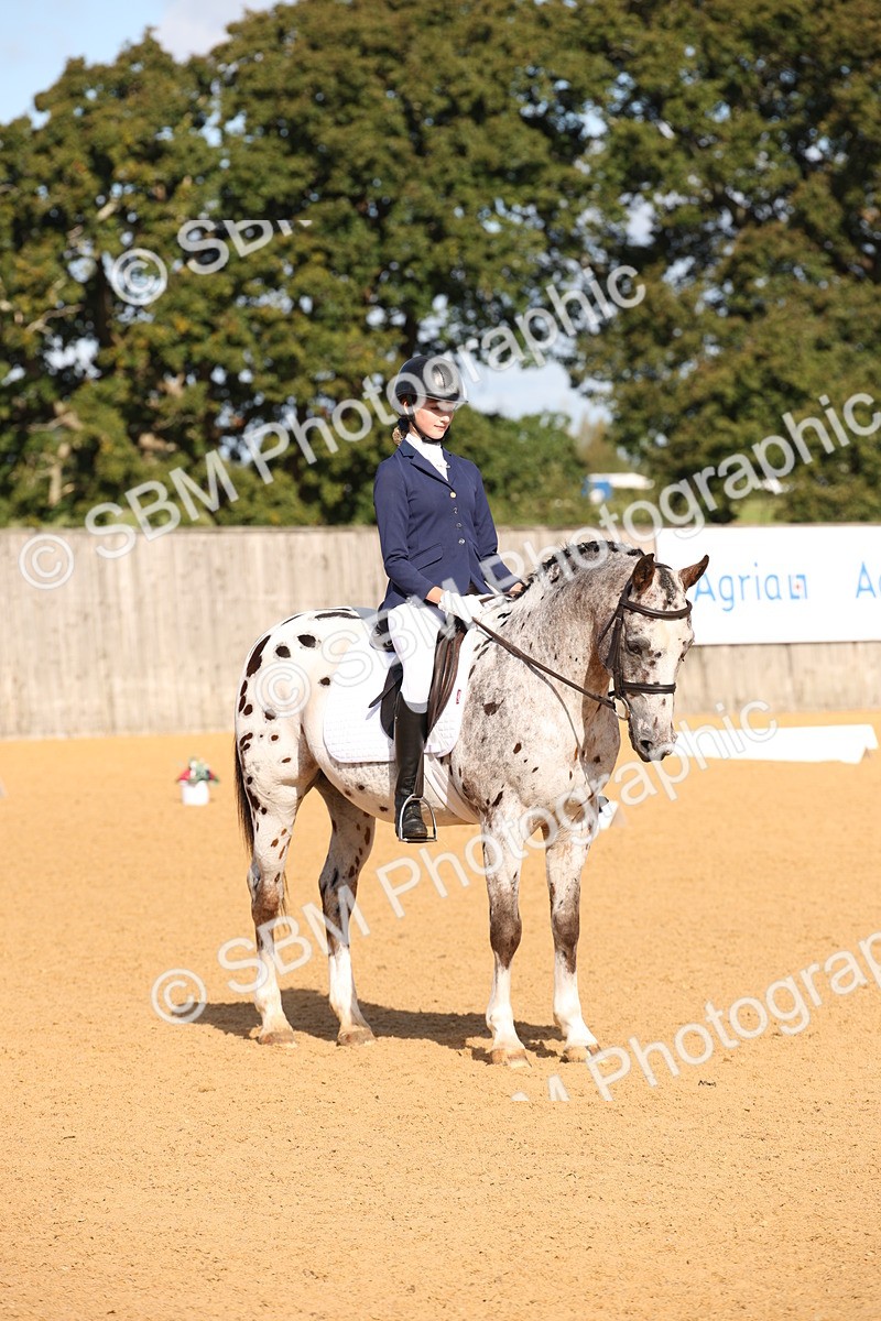SBM_01963 - D2 Small Tour Championship Intro C