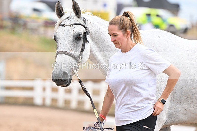 250716-152304-01900 - Trot Up 2.30 to 3.30