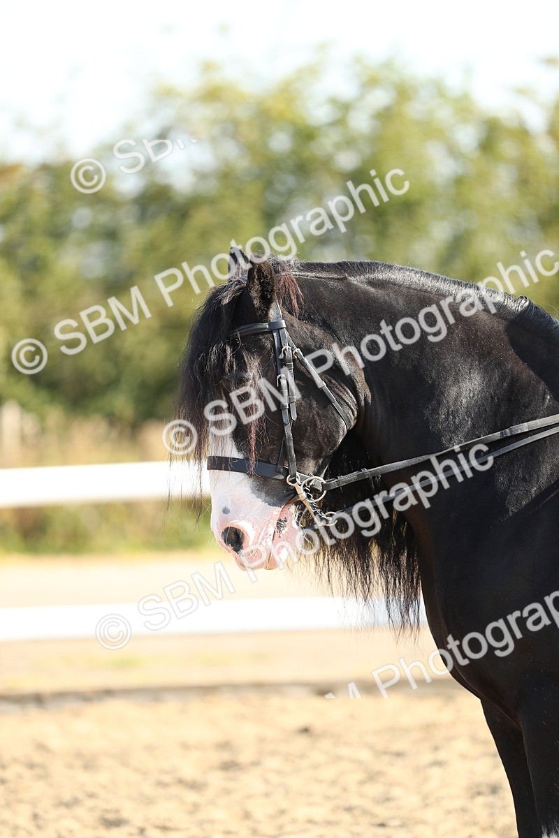 SBM_01174 - Class 42 Ridden Veteran