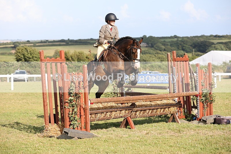 JPP_3230 - Class 21: Working Hunter 80cm