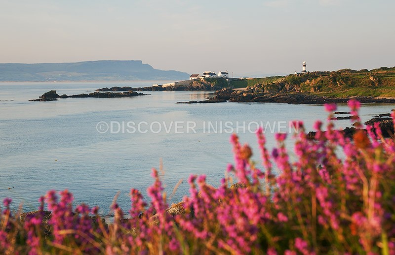 White bay and Stroove lighthouse - Nature