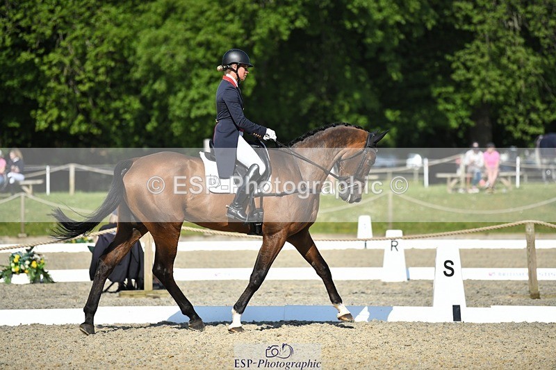 230525-092504-01594 - 305-BARRINGTON_57-Izzy_Taylor-WEDTrotUp+DR