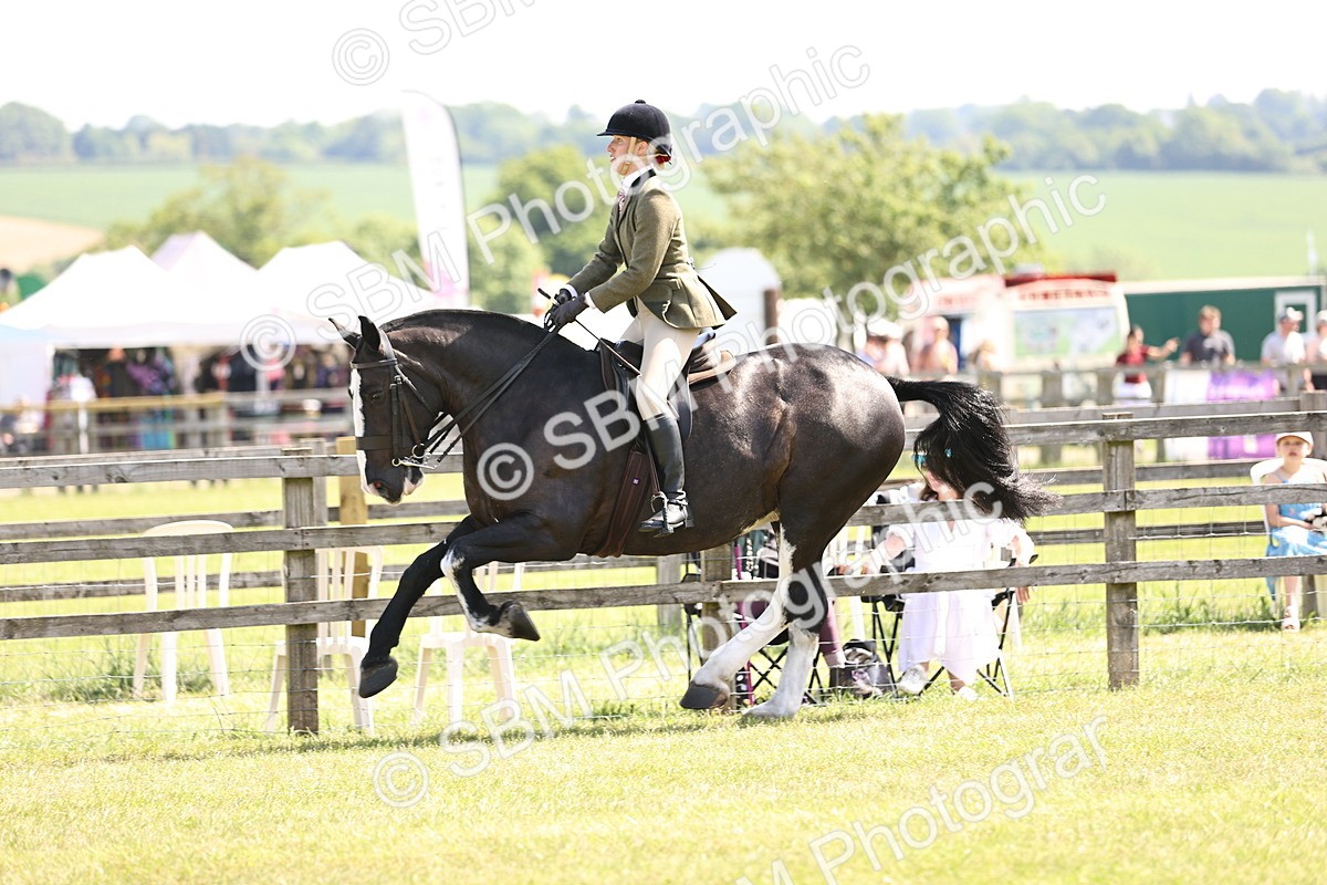 SBM_13755 - Class 77 - LIHS BSHA Rising Star Cobs