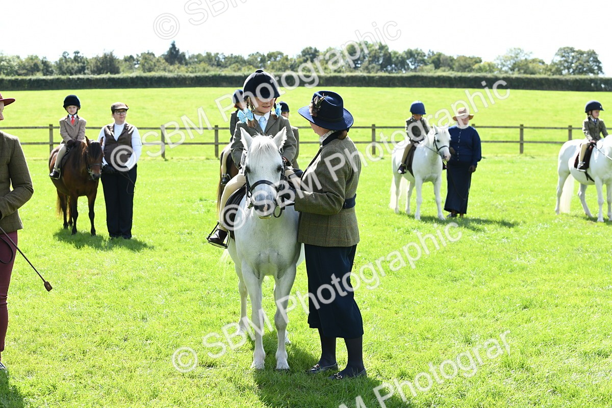 SBM_42616 - S20 - Lead Rein Mountain & Moorland Pony