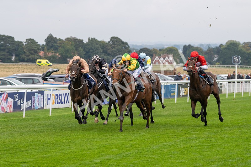 240924-Race 2-The Trickster-5919 - Race 2