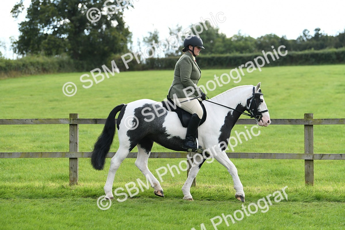 SBM_46717 - S12 - Family Horse & Pony