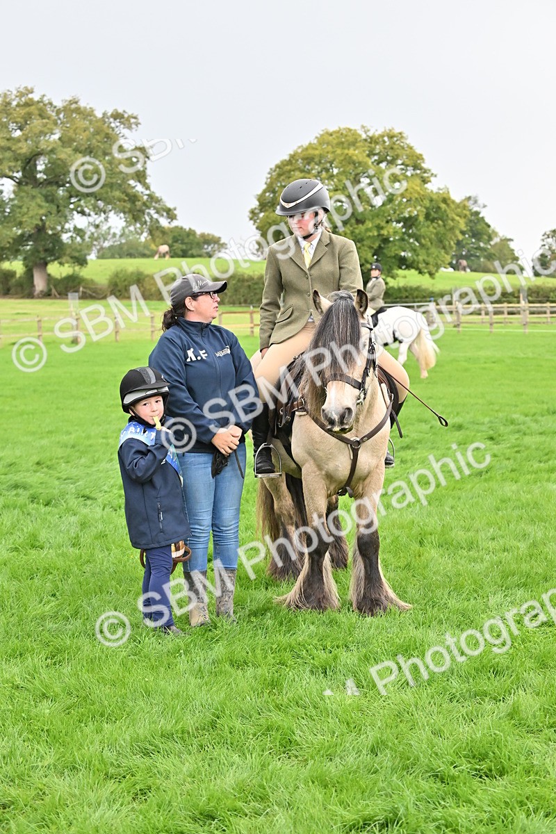 SBM_42908 - S12 - Family Horse & Pony