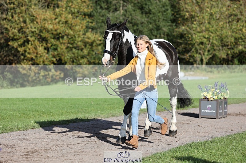 241027-095534-15585 - 387-Kelly.Knockaert-PIPER.II